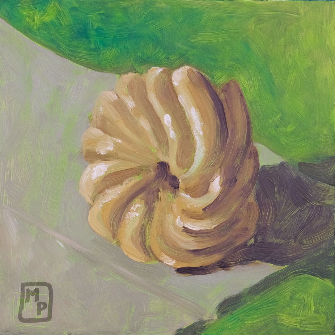 French Cruller (1/1)
